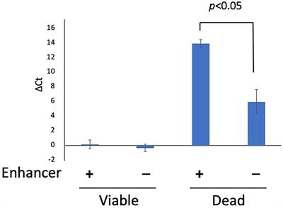 Two-Round Treatment With Propidium Monoazide Completely Inhibits the Detection of Dead Campylobacter spp. Cells by Quantitative PCR